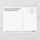 Kastanienbraun Postkarte (Rückseite)