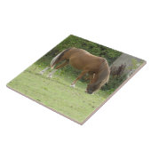 Kastanienbraun Reittier Tile Fliese (Seite)