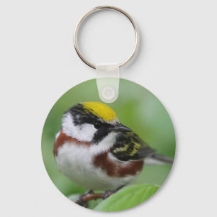 Kastanienbraun Schlüsselanhänger