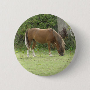 Kastanienbraun - Weideknopf Button