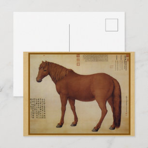 Kastanienbraunes Pferd-Porträt - Vintage Chinesisc Postkarte