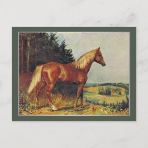Kastanienbraunes Pferd Postkarte