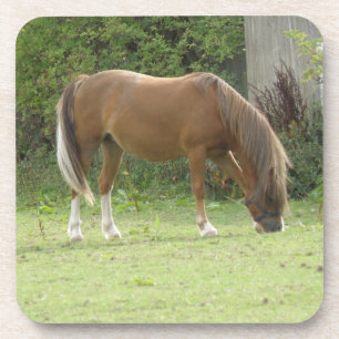 Kastanienbrown Horse Grazing Cork Untersetzer