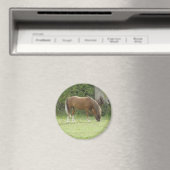 Kastanienbrown Horse Grazing Magnet (In Situ (Geschirrspüler))