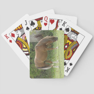 Kastanienbrown Pferdeweiden Spielkarten