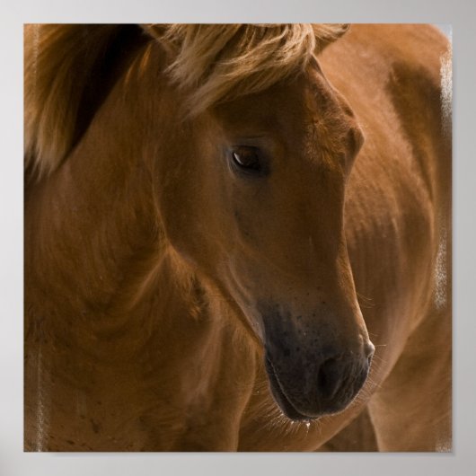 Kastaniendesign - Druck Poster (Vorne)