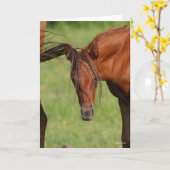 Kastanienfohlen mit Schwanz auf Kopf Karte (Gelbe Blume)