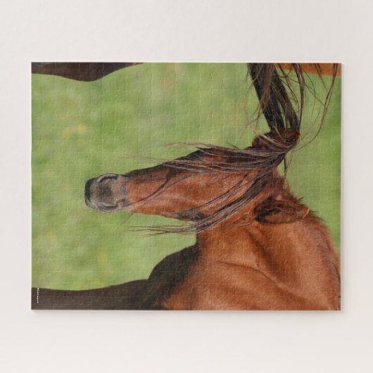 Kastanienfohlen mit Schwanz auf Kopf Puzzle (Horizontal)