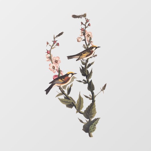 Kastaniengefiederter Audubon-Vogel auf Wildblume Fensteraufkleber (Blatt)