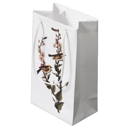 Kastaniengefiederter Audubon-Vogel auf Wildblume Kleine Geschenktüte (Rückseite Schrägansicht)