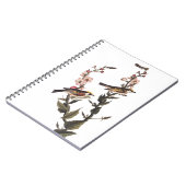 Kastaniengefiederter Audubon-Vogel auf Wildblume Notizblock (Linke Seite)