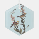 Kastaniengefiederter Audubon-Vogel auf Wildblume Ornament Aus Glas (Vorderseite)