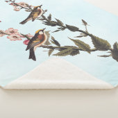 Kastaniengefiederter Audubon-Vogel auf Wildblume Sherpadecke (3/4)