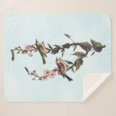 Kastaniengefiederter Audubon-Vogel auf Wildblume Sherpadecke (Vorderseite (Horizontal))