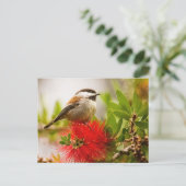 Kastaniengegarte Chickade Postkarte (Stehend Vorderseite)