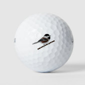 Kastaniengegarte Chickadee Bird Golfball (Vorderseite)