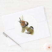Kastaniengegarte Chickadee Runder Aufkleber (Umschlag)
