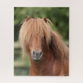 Kastanienhahn Pony Stallion Puzzle (Vertikal)