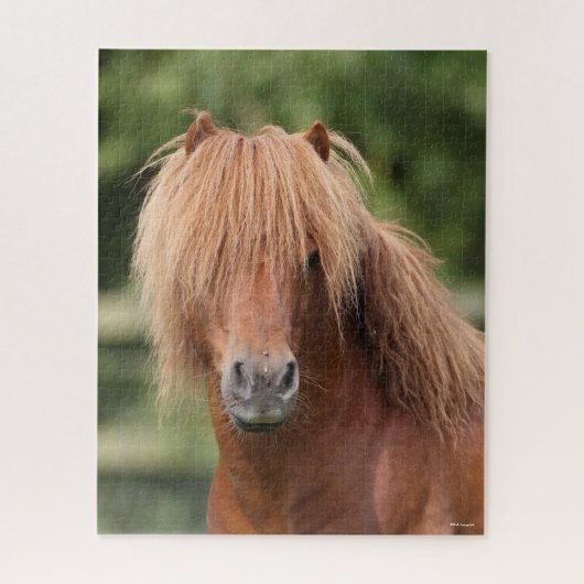 Kastanienhahn Pony Stallion Puzzle (Vertikal)
