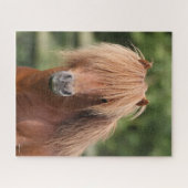 Kastanienhahn Pony Stallion Puzzle (Horizontal)