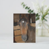 Kastanienhahn Postkarte (Stehend Vorderseite)