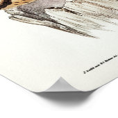 Kastanienhaie von Elizabeth Gould Poster (Ecke)