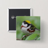 Kastanienhalterung Button (Vorne & Hinten)