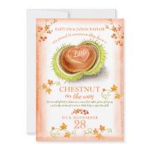 Kastanienherzschwangerschaft