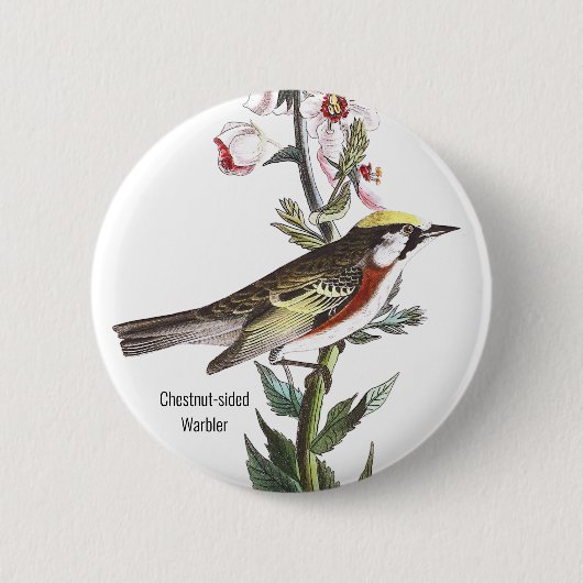Kastanienholz, Audubon, Vogelbeobachter Zubehör, Button (Vorderseite)