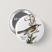 Kastanienholz, Audubon, Vogelbeobachter Zubehör, Button (Vorne & Hinten)