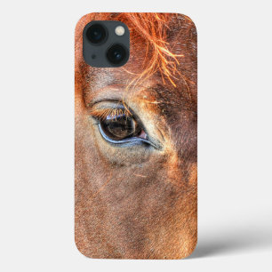 Kastanienhorse - Augenrinde - Foto IV iPhone 13 Hülle