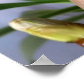 Kastanienknospe Poster (Ecke)