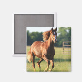 Kastanienmagnet Magnet (Vorderseite/Rückseite)