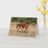 Kastanienmane und Schwanz fließen Karte (Gelbe Blume)