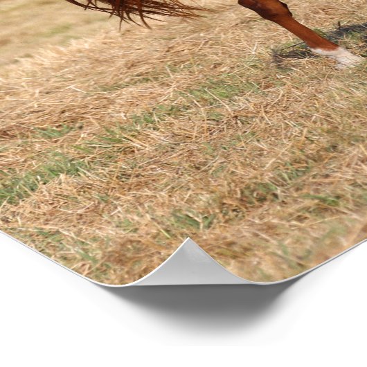 Kastanienmane und Schwanz fließen Poster (Ecke)