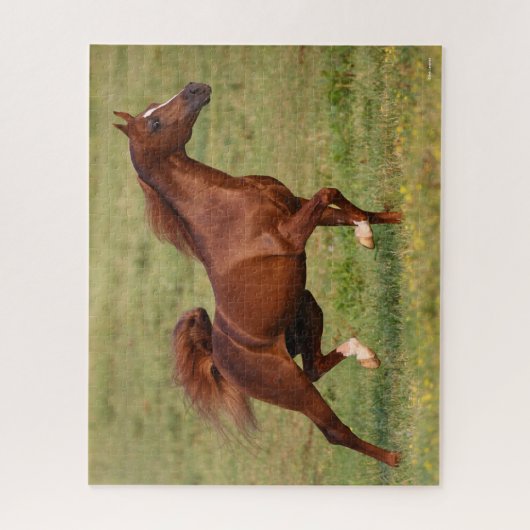 Kastanienmane und Schwanz Puzzle (Vertikal)