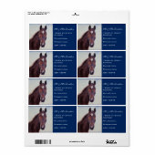 Kastanienpferd (Vorne)