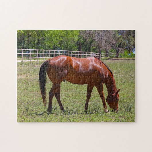 Kastanienpferd auf dem Feld Puzzle (Horizontal)