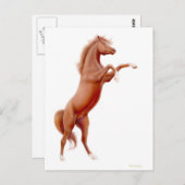 Kastanienpferd Aufzuchten Postkarte (Vorne/Hinten)