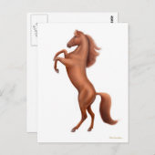 Kastanienpferd Aufzuchten Postkarte (Vorne/Hinten)