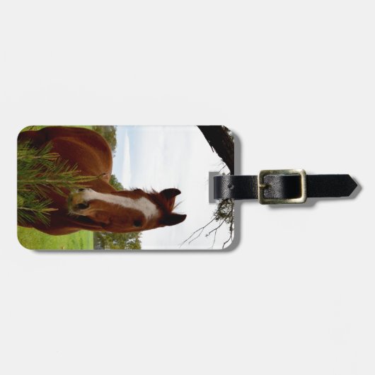 Kastanienpferd, das einen Banksienbaum raubt, Gepäckanhänger (Vorderseite horizontal)