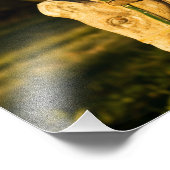 Kastanienpferd Fotodruck (Ecke)