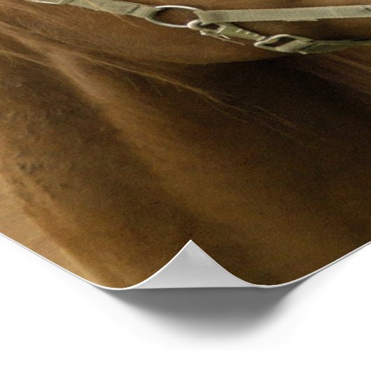 Kastanienpferd in einem Feldposter Poster (Ecke)