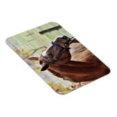 Kastanienpferd mit Blaze, Bridle, in Weide Magnet (Rechte Seite)