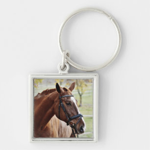 Kastanienpferd mit Blaze, Bridle, in Weide Schlüsselanhänger