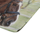 Kastanienpferd mit Blaze, Bridle, in Weide Schneidebrett (Ecke)