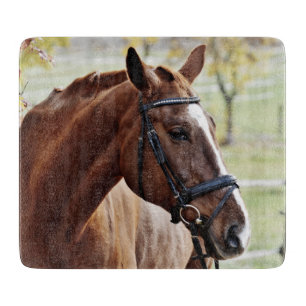 Kastanienpferd mit Blaze, Bridle, in Weide Schneidebrett