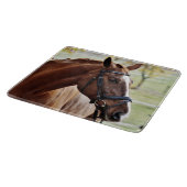 Kastanienpferd mit Blaze, Bridle, in Weide Schneidebrett (Ecke)