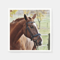 Kastanienpferd mit Blaze, Bridle, in Weide