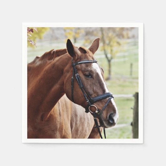 Kastanienpferd mit Blaze, Bridle, in Weide Serviette (Vorderseite)